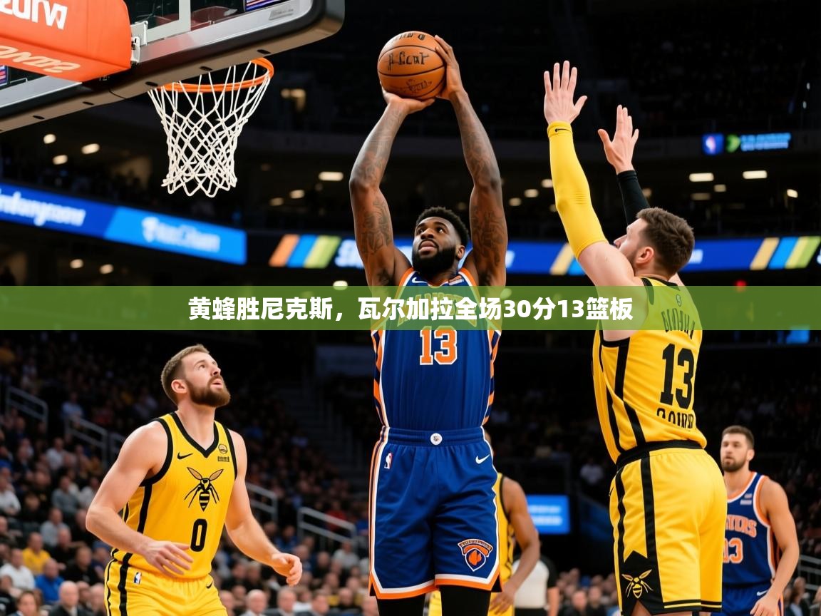 2025 极直播投屏黄蜂胜尼克斯，瓦尔加拉全场30分13篮板