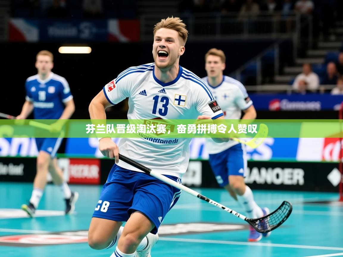 2025 极直播官网芬兰队晋级淘汰赛,奋勇拼搏令人赞叹  第1张
