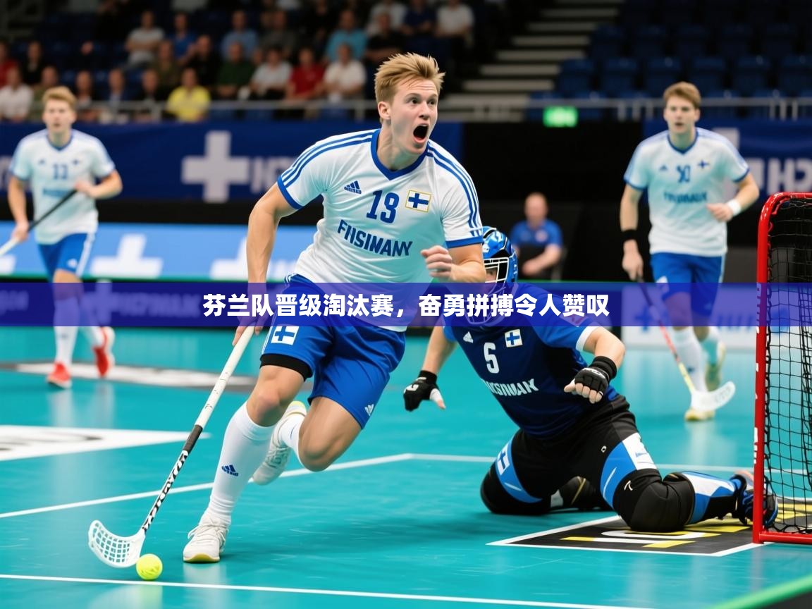 2025 极直播官网芬兰队晋级淘汰赛,奋勇拼搏令人赞叹  第4张