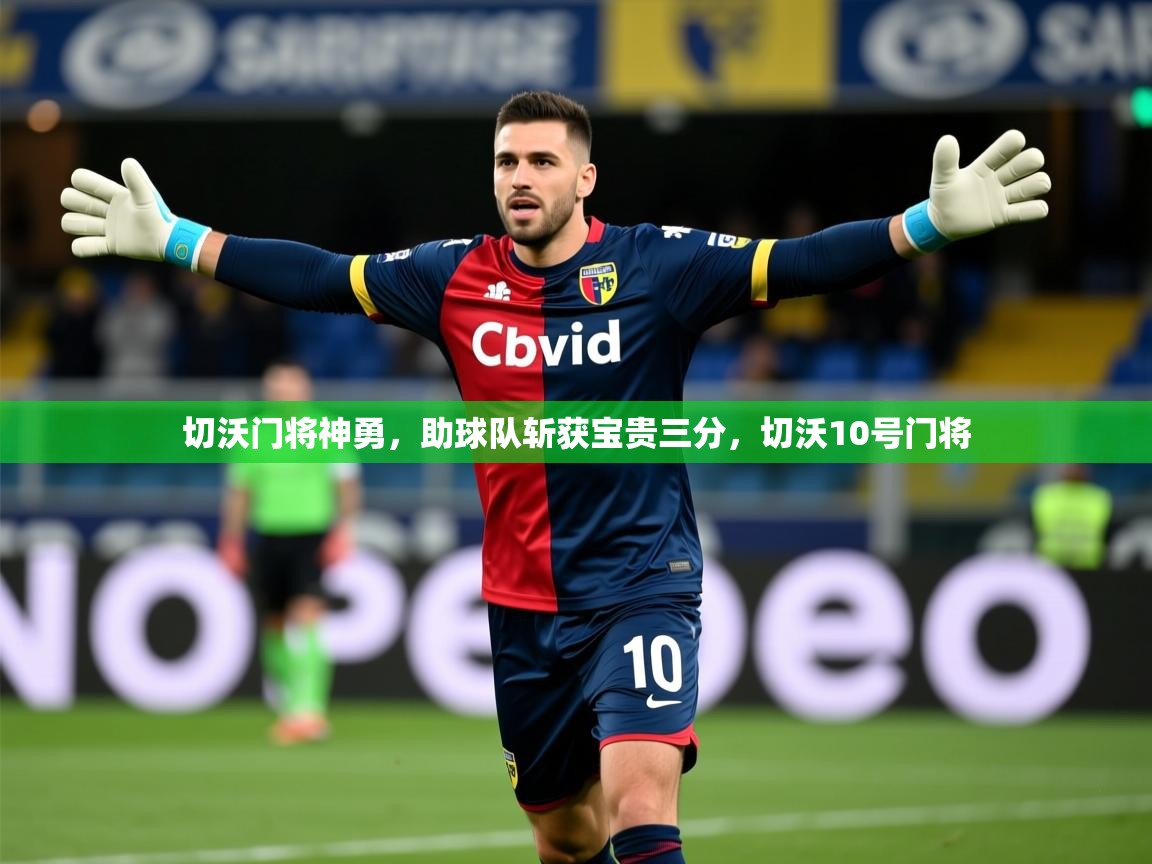 2025 极直播app下载切沃门将神勇，助球队斩获宝贵三分，切沃10号门将  第4张